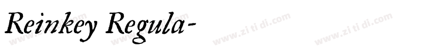 Reinkey Regula字体转换